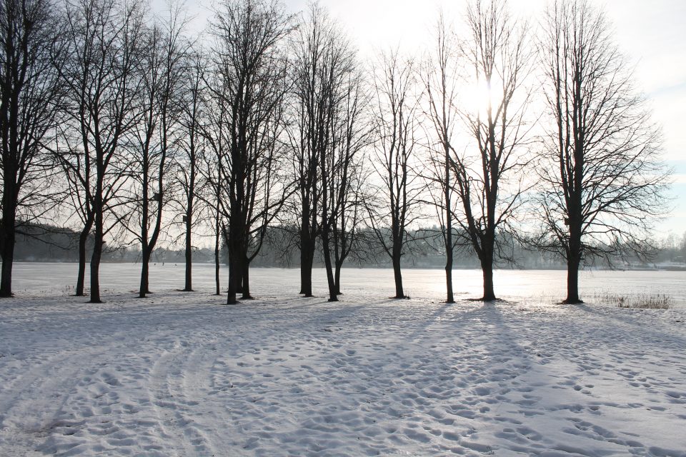 Il lago ghiacciato a Trakai