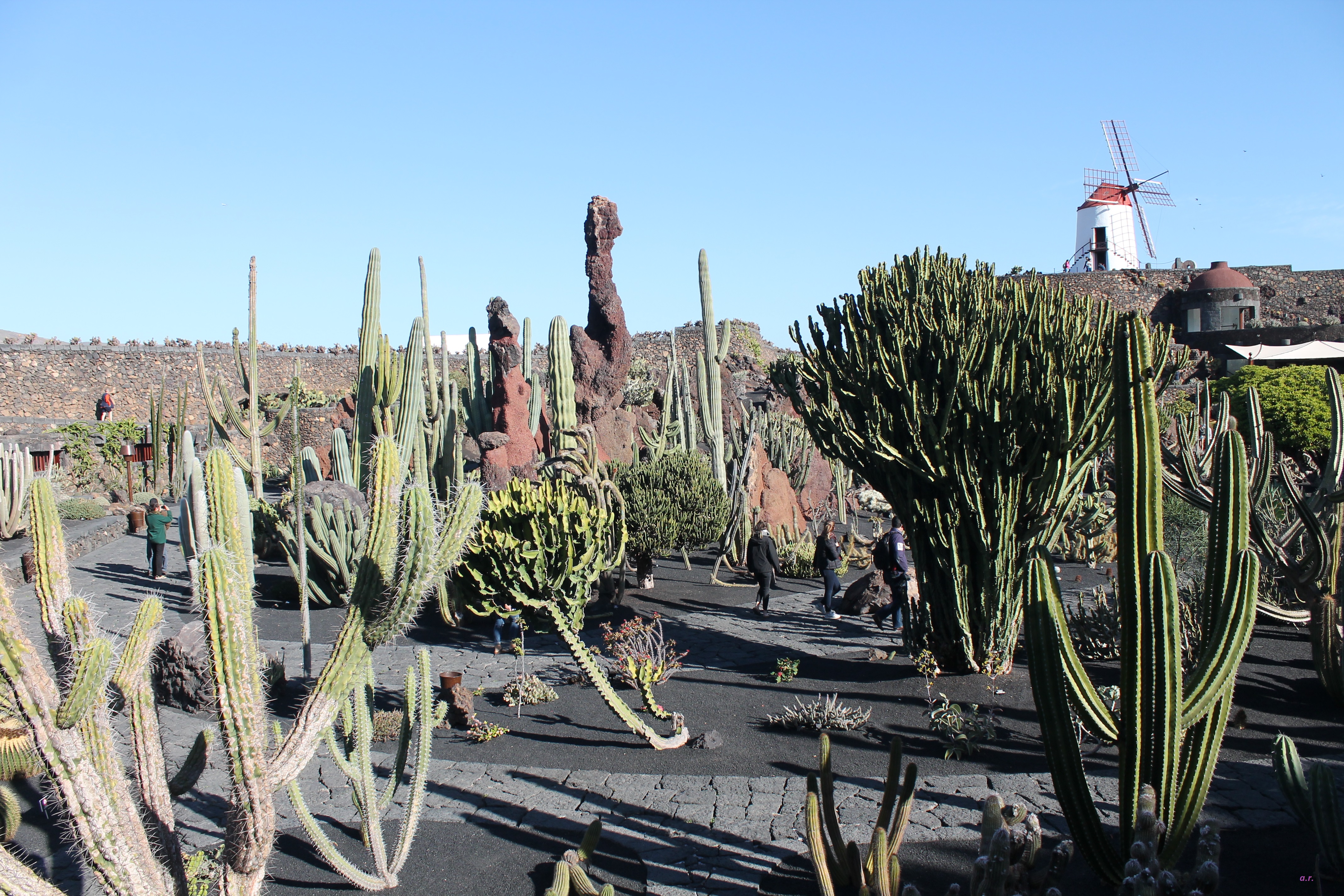 giardino dei Cactus ph. @poshbackpackers