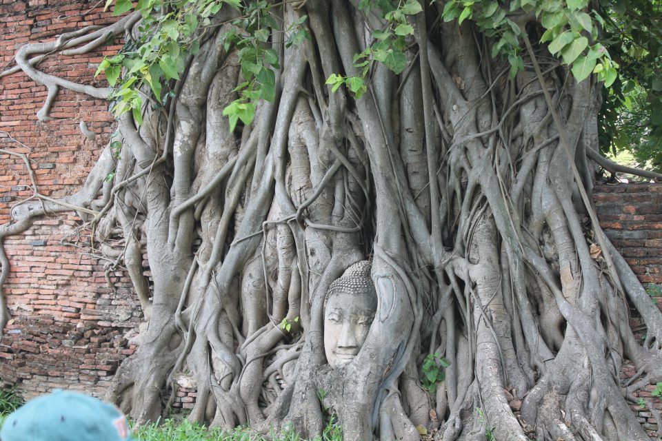 10 giorni in Thailandia wat mahathat - Ayutthaya